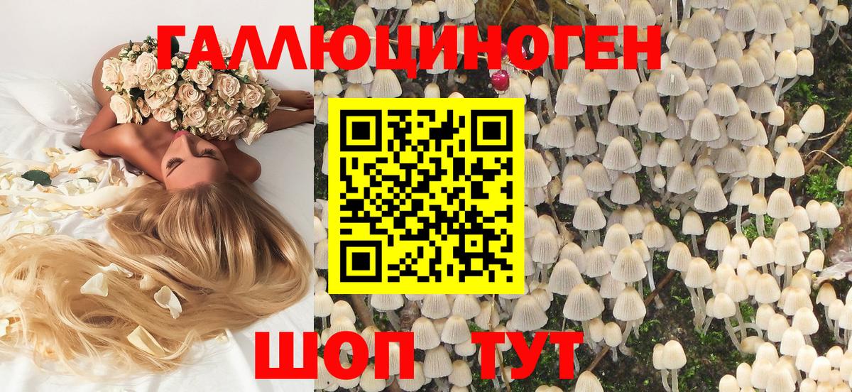 Черкесск  Псилоцибиновые грибы мицелий  купить наркотик  Вход с VPN  Псилоцибиновые грибы Cubensis 