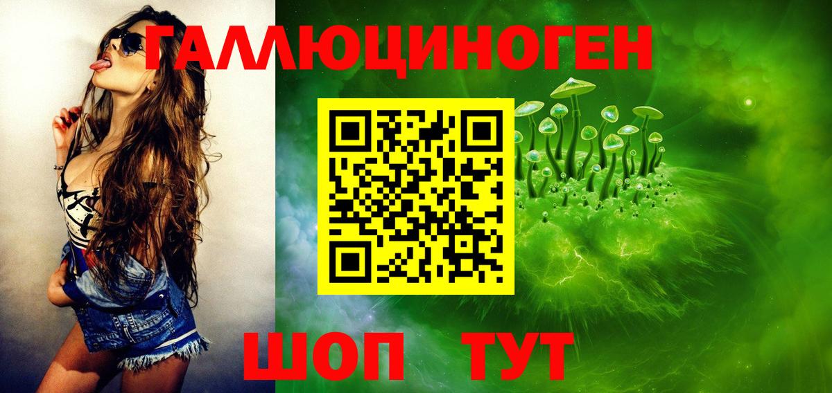 Галлюциногенные грибы Psilocybine cubensis Черкесск