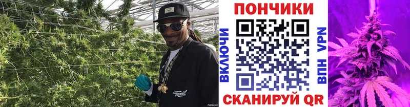 как найти наркотики  Черкесск  Канабис индика 